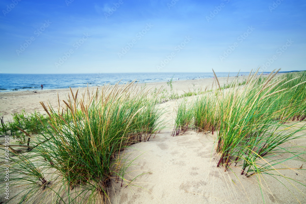 Calm beach with dunes and green grass. Tranquil ocean