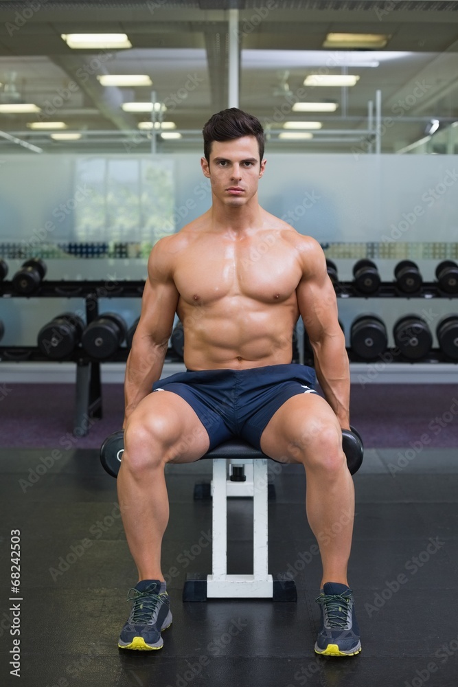 Muscular man exercising with dumbbells in gym Muscular man exercising with dumbbells in gym