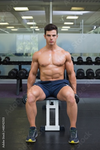 Muscular man exercising with dumbbells in gym