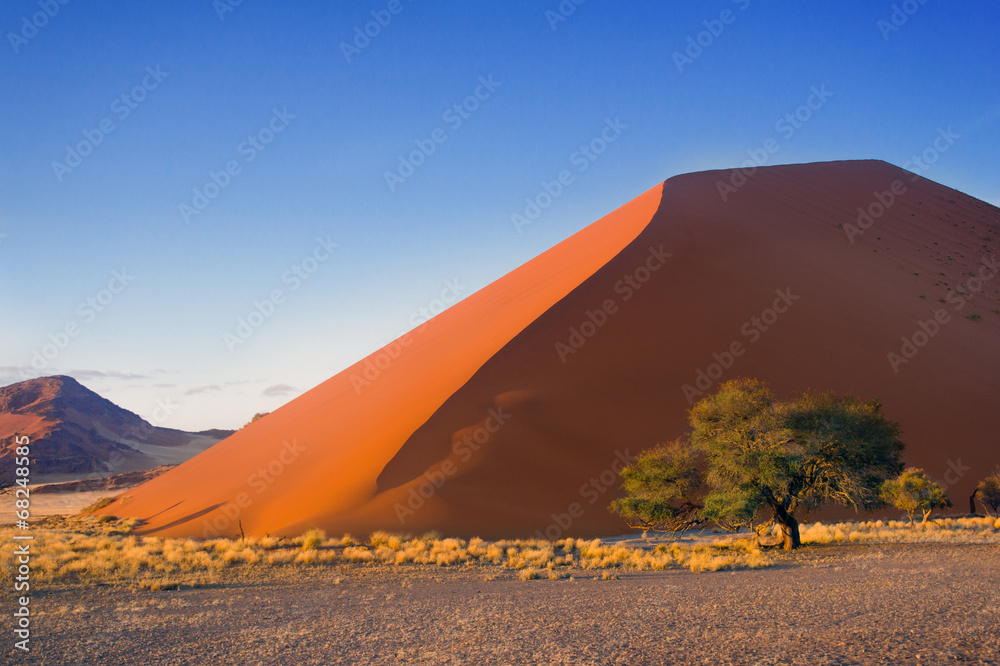 Sunset dunes of Namib desert, Sossusvlei, Namibia