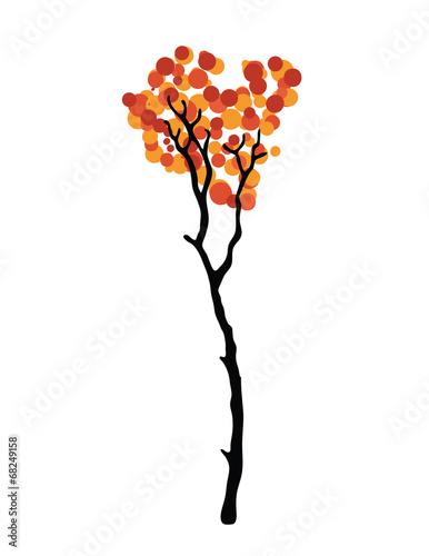 autumn tree