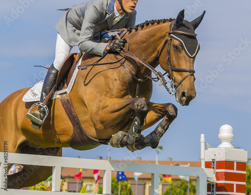 Jinete saltando obstáculo