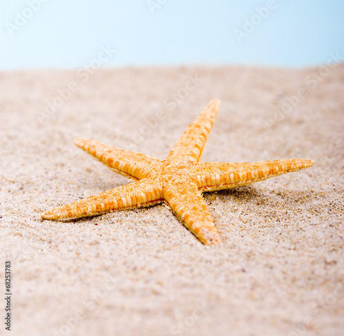 Seestern im Sand