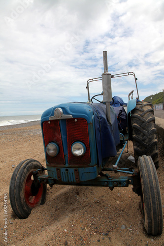 Slika na platnu An Old Workhorse