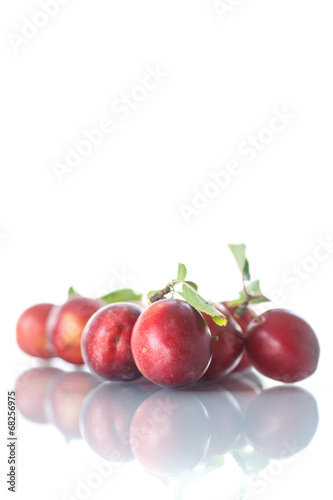 cherry-plum