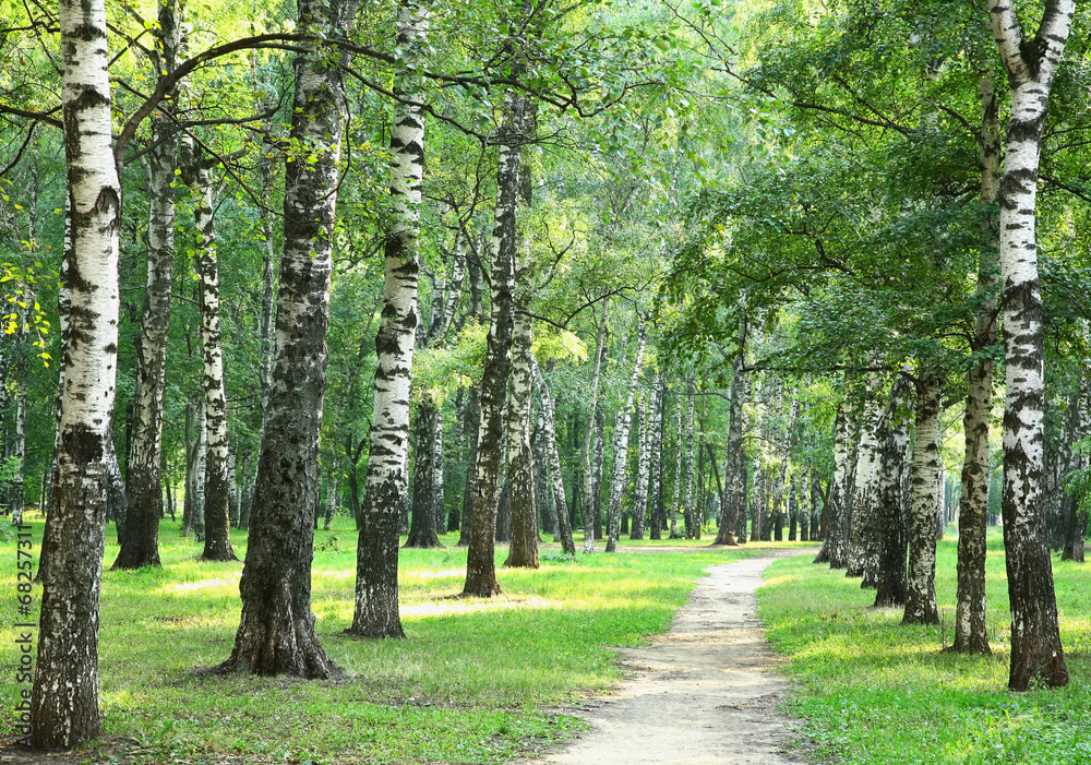 Obraz premium Wieczorny letni park miejski