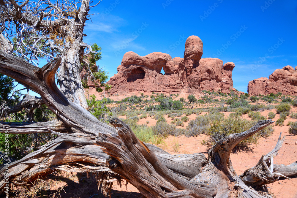 Arches National Park Moab - Utah - United States