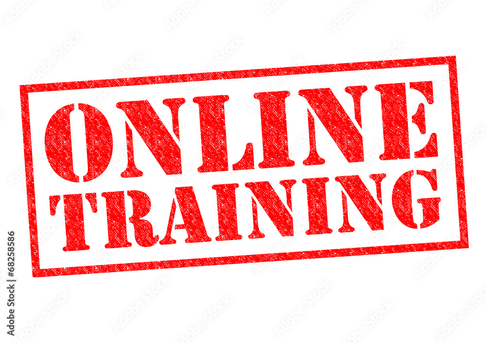 ONLINE TRAINING