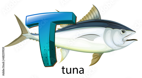 A letter T