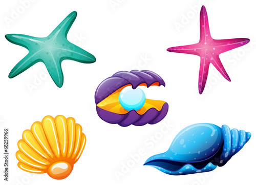 Sea creatures