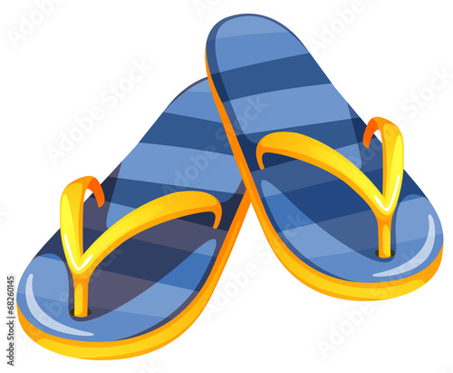 A pair of blue sandals