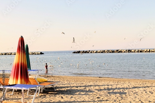 beach with umbrellas and sunbeds in Gatteo in Italy