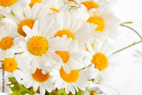 bouquet of wild daisies