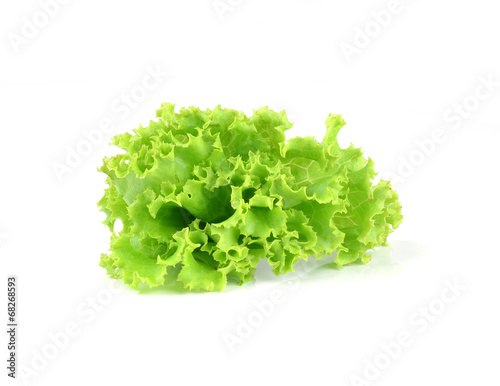 fresh green lettuce leaves