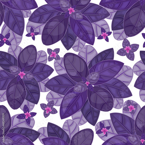 seamless texture of leaf basil