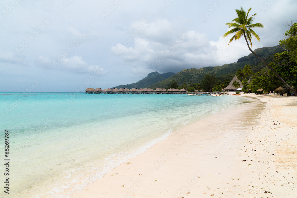 Fototapeta premium Exotic beach