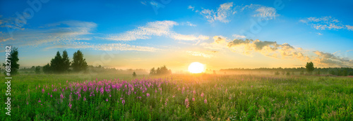 landscape with the sunrise, a blossoming meadow panorama