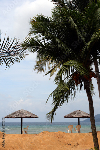 Tioman island  Malaysia ..