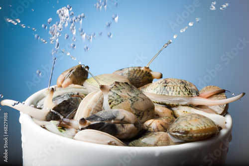 Billede på lærred clams