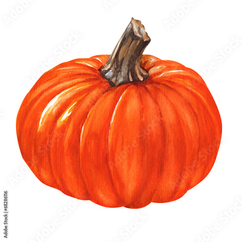 Φωτογραφία Watercolor fresh orange pumpkin isolated