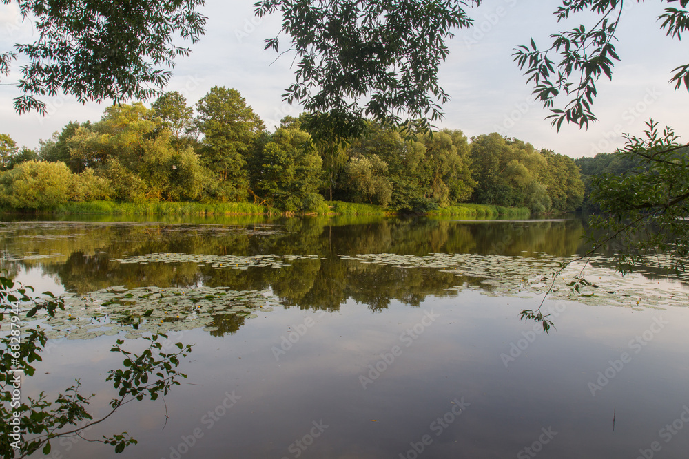 Fototapeta premium river in summer