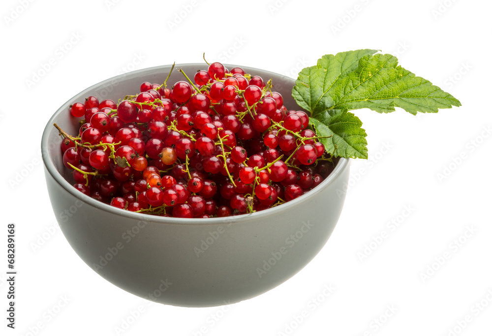 Red currant Red currant