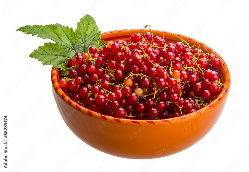 Red currant Red currant