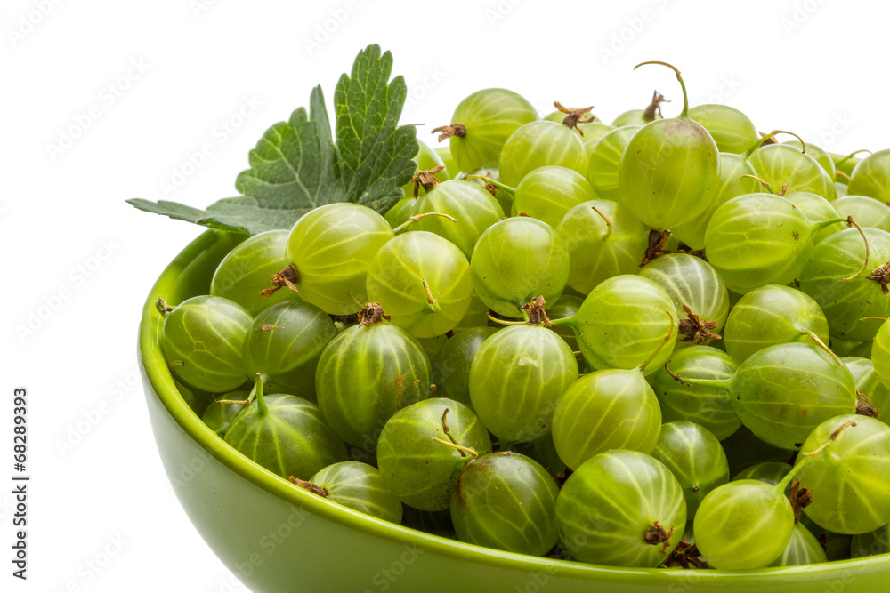 Gooseberry Gooseberry
