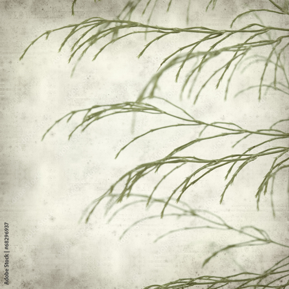 Obraz premium textured old paper background