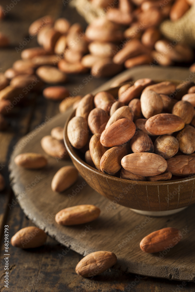 Raw Organic Cocoa Beans Raw Organic Cocoa Beans