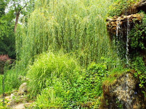 beautiful view in park photo
