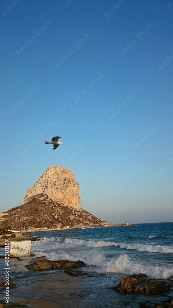 Gaviota volando junto al peñón de Ifach Gaviota volando junto al peñón de Ifach