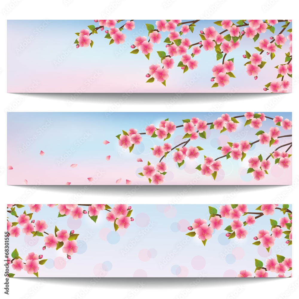 Set of beautiful banners with pink sakura cherry tree Set of beautiful banners with pink sakura cherry tree