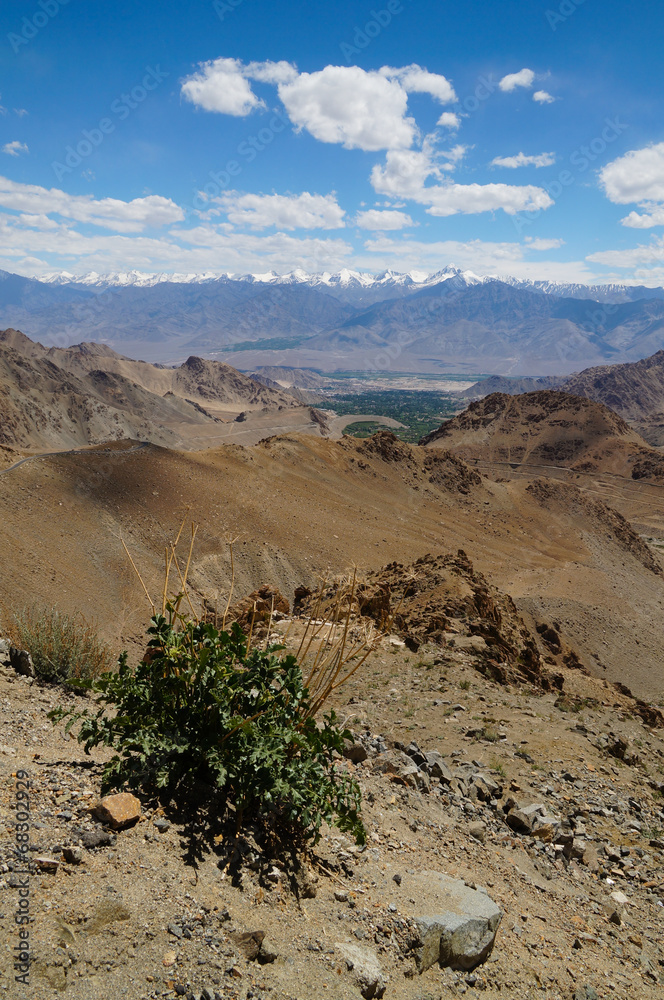 Beautiful landscape of Himalaya mountain in  Ladakh,India