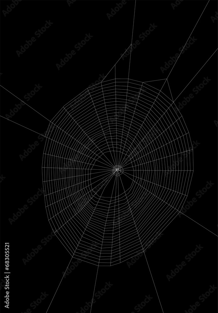 Fototapeta premium large isolated on black spider web
