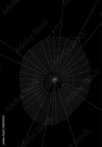 large isolated on black spider web