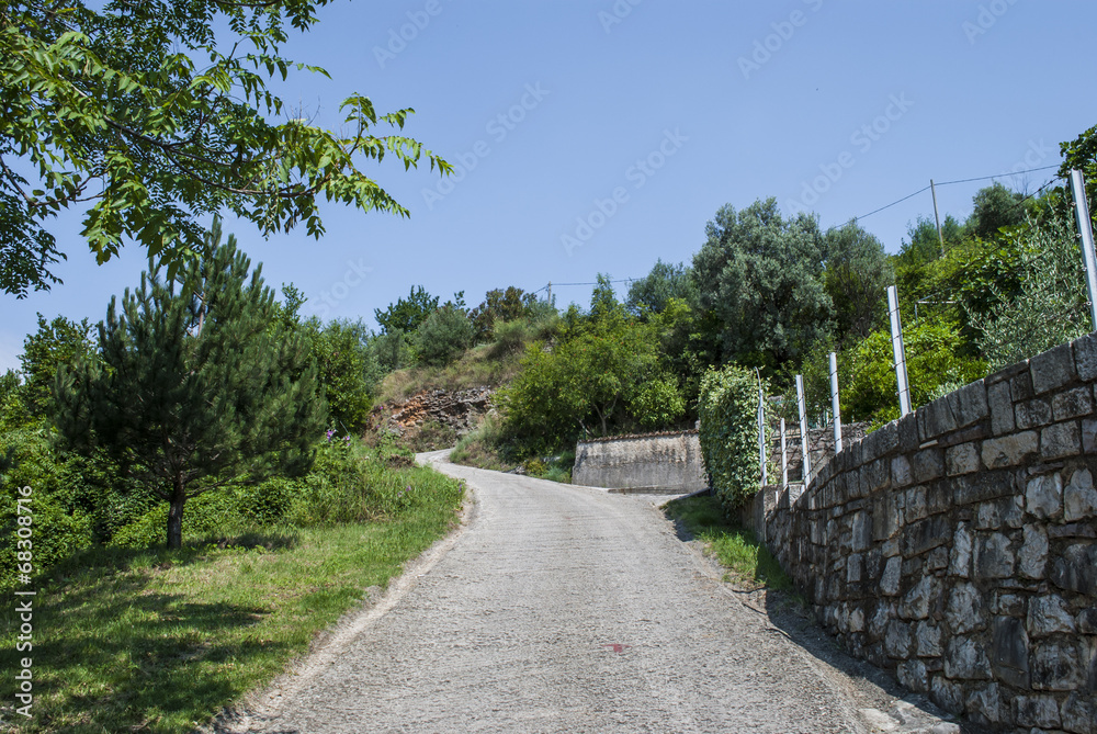 Mediterranean country road
