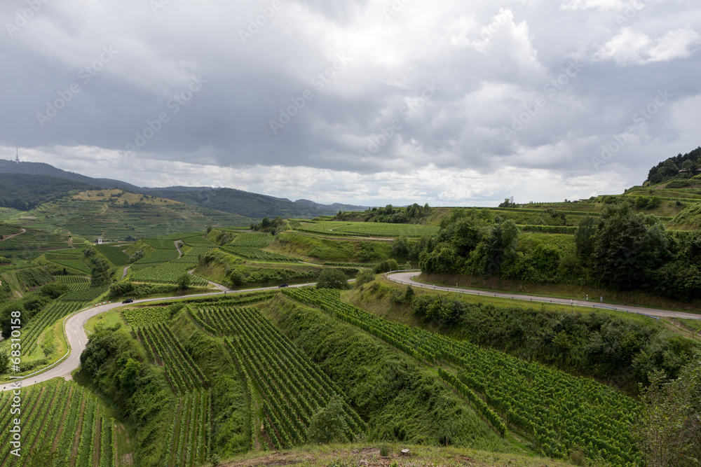 Naklejka premium Kaiserstuhl 2429