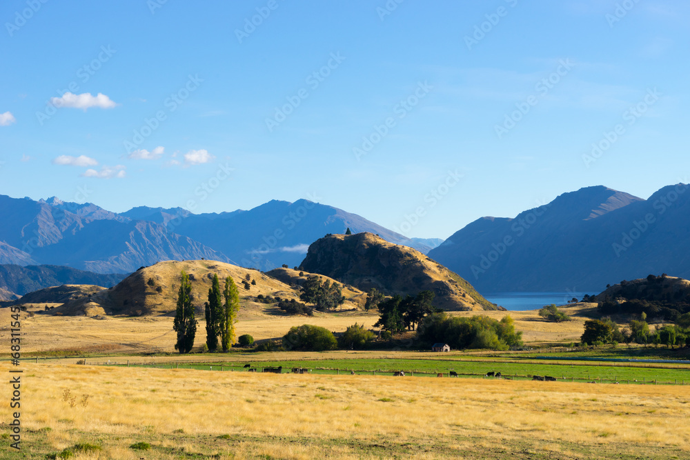 Fototapeta premium Picturesque landscape