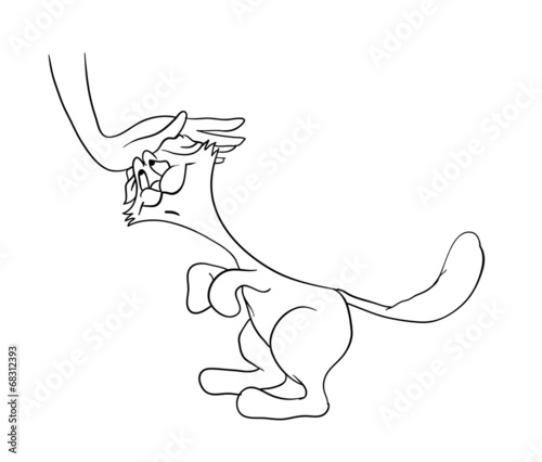 human hand stroking the cat, vector illustration