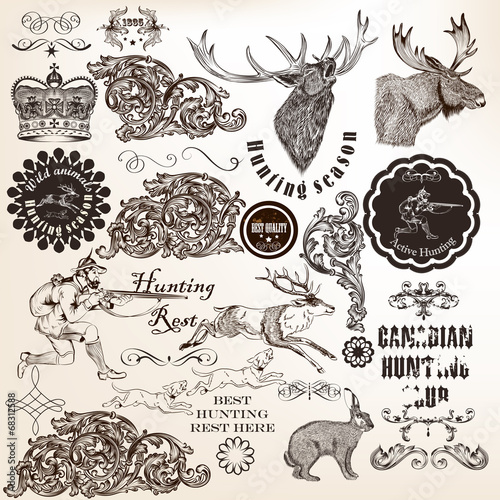 Set of vector decorative hunting and floral elements in vintage