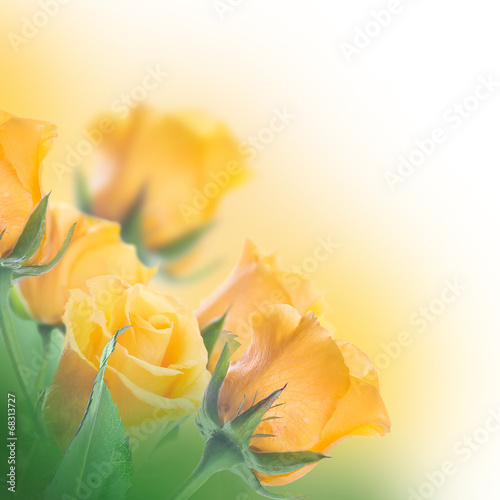 Bouquet of yellow roses, floral background