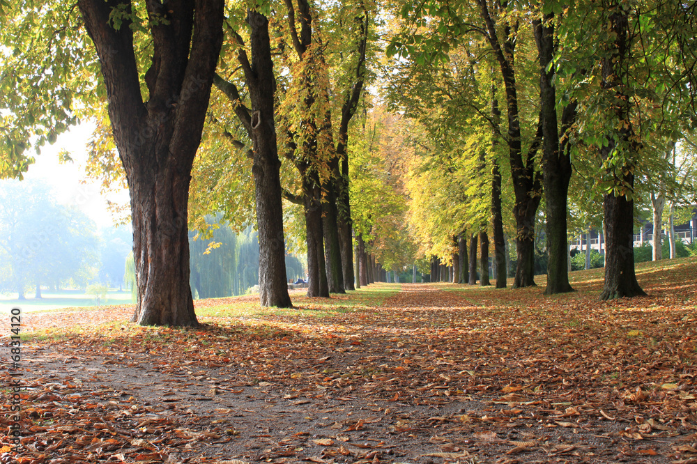 Herbst Herbst