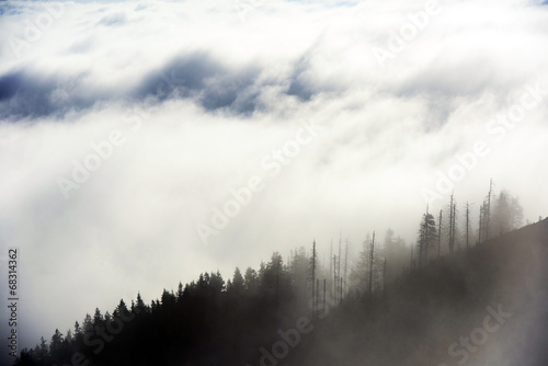 Alpine sea of clouds