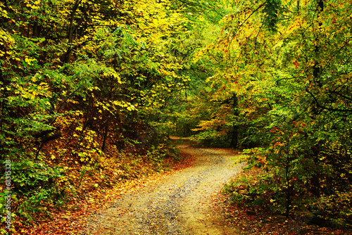 Mountain road in autumn colours