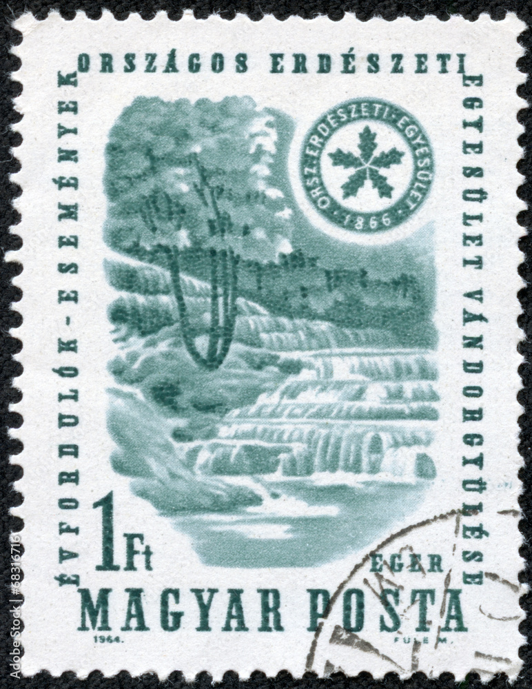 Obraz premium stamp printed in the Hungary shows Waterfall and Forest