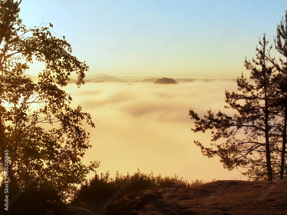 View through beech branches with leaves into deep misty valley View through beech branches with leaves into deep misty valley