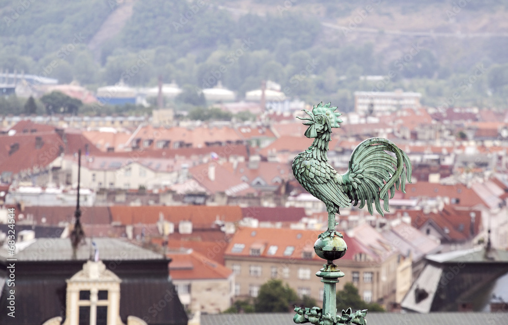 Obraz premium Rooster overlooking Prague roofs