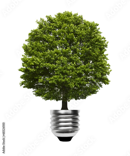 Baum auf Glühbirne