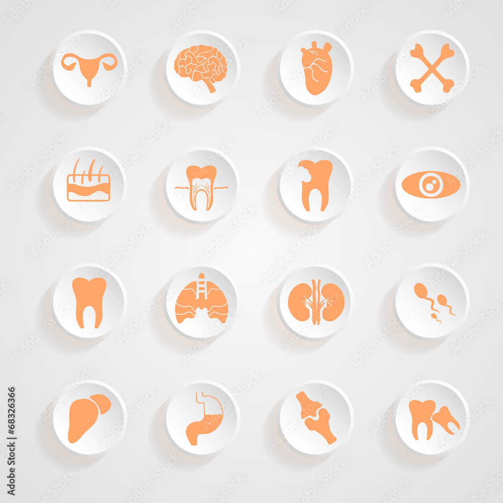 Body Icons button shadows  vector set